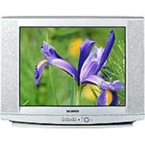 Замена кнопки включения Samsung CS-29U2 WTR