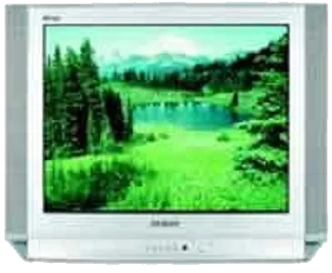 Замена кнопки включения Samsung CS-29D8 WTR